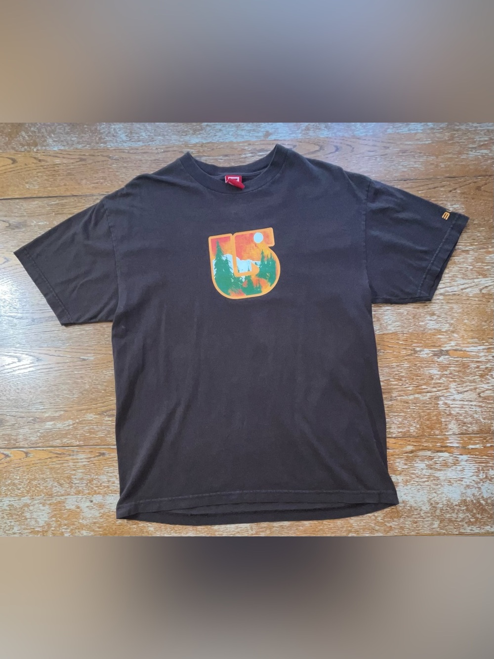 Vintage Y2K Burton Short Sleeve T-Shirt Faded Tag/No Size See Measurements